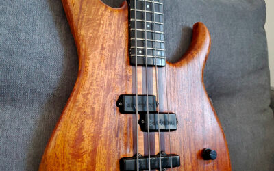 Modulus BASSSTAR SP-24